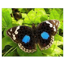 Mini Puzzle