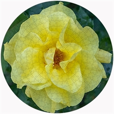 Round Puzzles