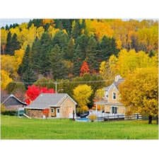 Traditional Jigsaw Puzzles
