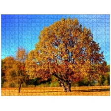 Traditional Jigsaw Puzzles