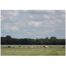 Traditional Jigsaw Puzzles