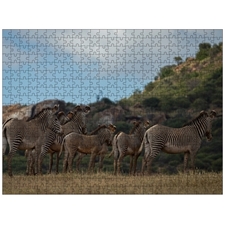 Traditional Jigsaw Puzzles