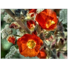 Traditional Jigsaw Puzzles