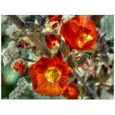 Traditional Jigsaw Puzzles