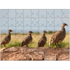 Traditional Jigsaw Puzzles