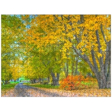 Traditional Jigsaw Puzzles