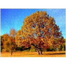 Traditional Jigsaw Puzzles