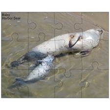 Jigsaw Puzzles 10