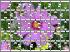 Traditional Jigsaw Puzzles