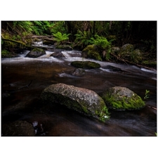 Traditional Jigsaw Puzzles