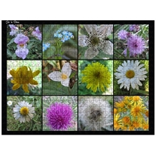 Traditional Jigsaw Puzzles