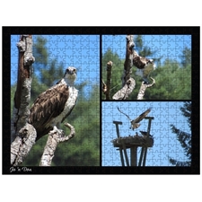 Traditional Jigsaw Puzzles