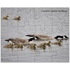 Jigsaw Puzzles 10