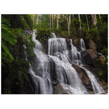 Traditional Jigsaw Puzzles