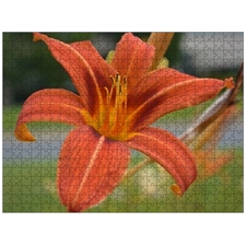 Traditional Jigsaw Puzzles