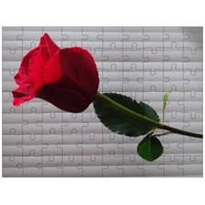 Traditional Jigsaw Puzzles