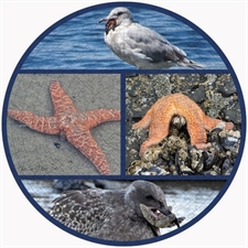 Round Puzzles