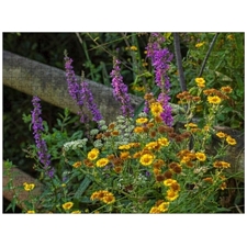 Traditional Jigsaw Puzzles
