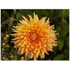 Traditional Jigsaw Puzzles