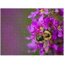 Traditional Jigsaw Puzzles
