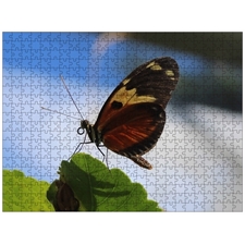 Traditional Jigsaw Puzzles