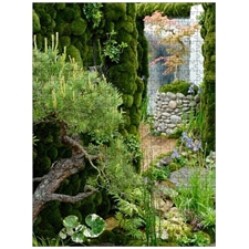 Traditional Jigsaw Puzzles