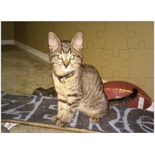 Traditional Jigsaw Puzzles