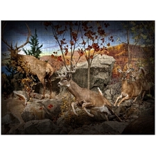 Traditional Jigsaw Puzzles