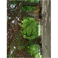 Traditional Jigsaw Puzzles