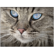 Traditional Jigsaw Puzzles