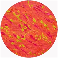 Round Puzzles