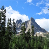 Traditional Jigsaw Puzzles