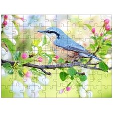 Traditional Jigsaw Puzzles