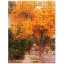 Traditional Jigsaw Puzzles