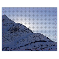 Mini Puzzle
