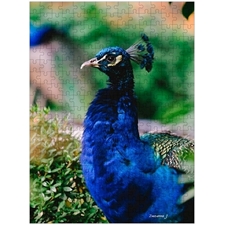 Traditional Jigsaw Puzzles