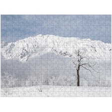 Traditional Jigsaw Puzzles