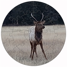 Round Puzzles