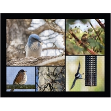 Traditional Jigsaw Puzzles
