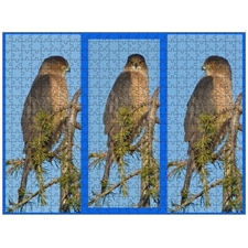 Traditional Jigsaw Puzzles