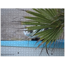 Traditional Jigsaw Puzzles