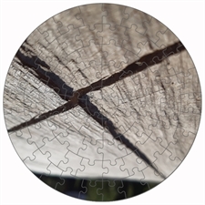 Round Puzzles