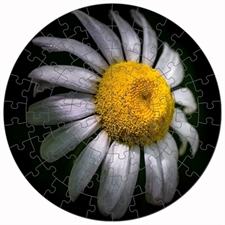 Round Puzzles