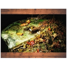Traditional Jigsaw Puzzles