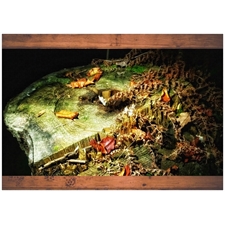 Traditional Jigsaw Puzzles