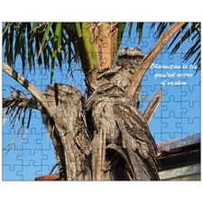 Jigsaw Puzzles 10