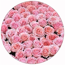 Round Puzzles