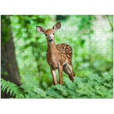 Traditional Jigsaw Puzzles