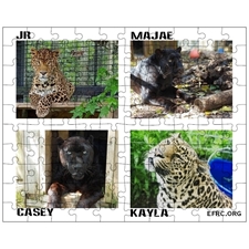 Jigsaw Puzzles 10