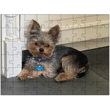 Traditional Jigsaw Puzzles